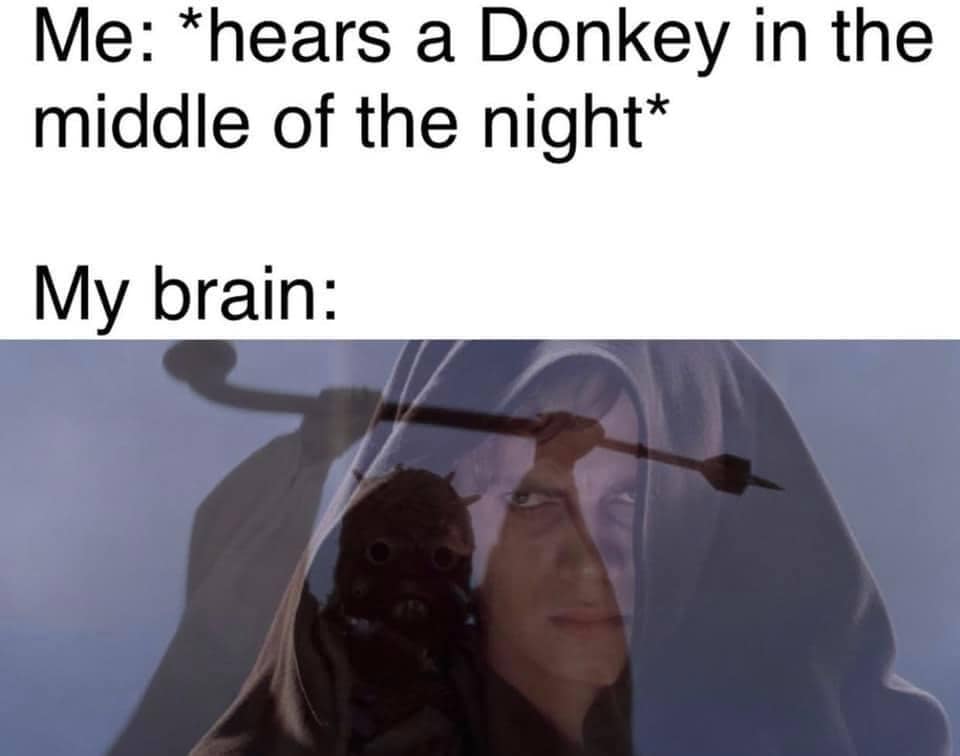This meme is a play on the classic "I can see your face" phrase, but with a twist. The image shows a person's face with a donkey's head superimposed over it, implying that someone is seeing a donkey in their mind. The text at the top reads "I can see your face" and the text at the bottom reads "I can see a donkey".